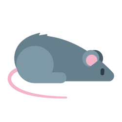 Mice & Rat icon
