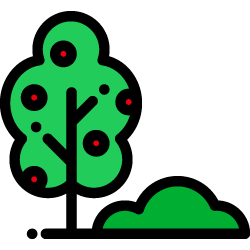 Tree & Shrub icon